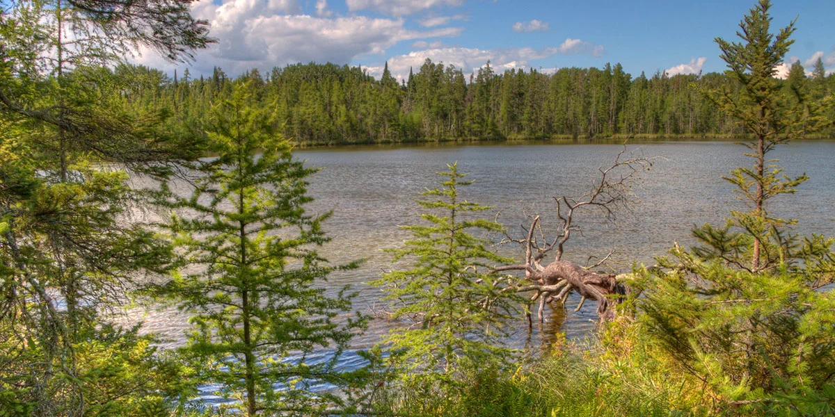 01LiterallytheBestGuide